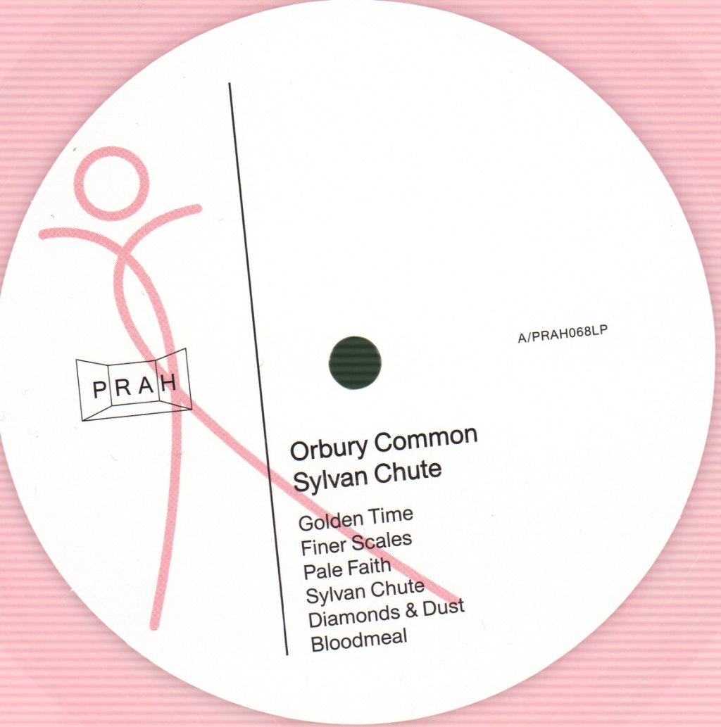 Orbury Common - Sylvan Chute - Lp