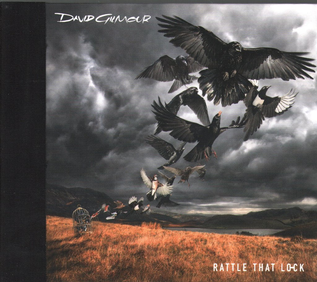 David Gilmour - Rattle That Lock - Cd