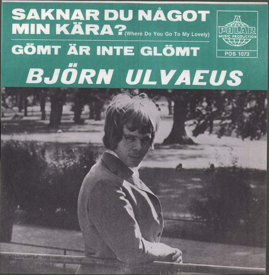 Bjorn Ulvaeus - Saknar Du Något Min Kära? - 7 Inch