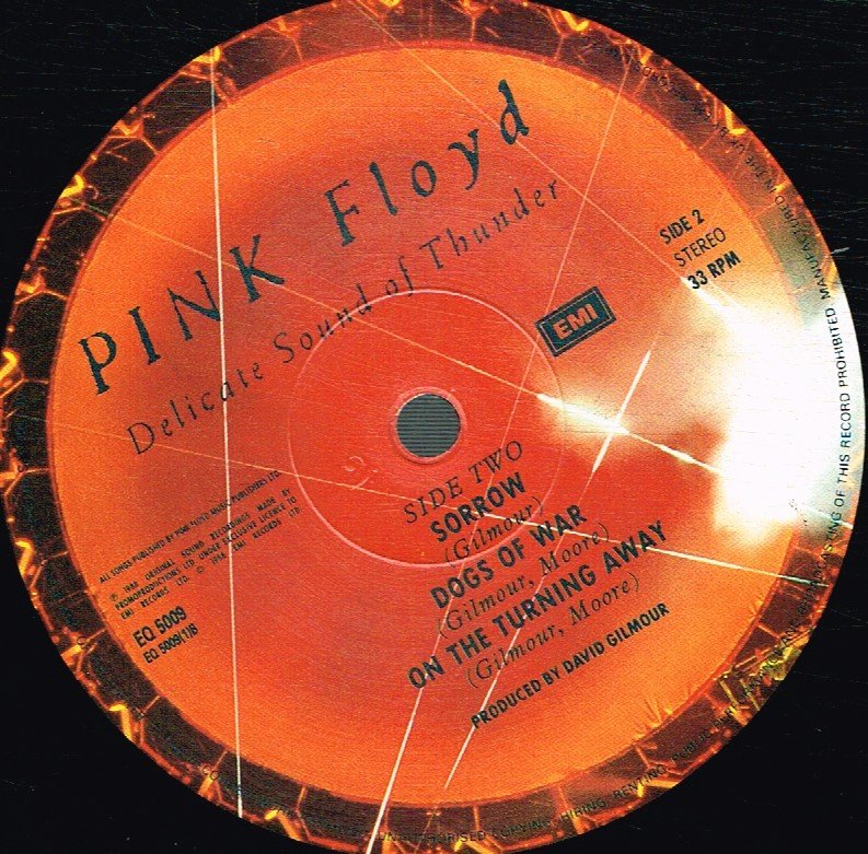 Pink Floyd - Delicate Sound Of Thunder - Double Lp