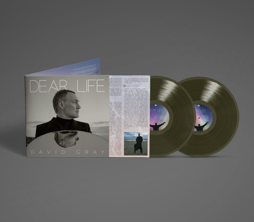 David Gray - Dear Life - Double Lp