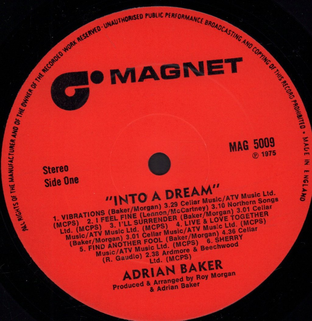 Adrian Baker - Into A Dream - Lp