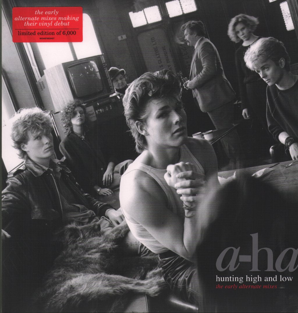 A-Ha - Hunting High And Low (The Early Alternate Mixes) - Lp