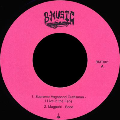 Various Artists - Migrating! Caustic! - Mutatable! Vol.1. - 7 Inch