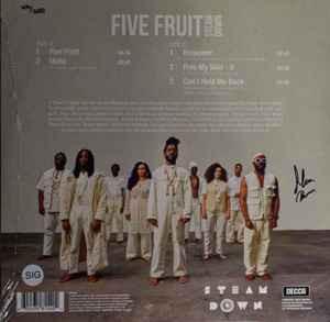 Steam Down - Five Fruit - 12 Inch