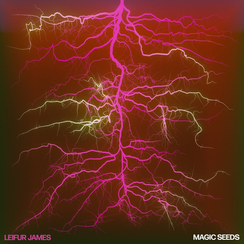 Leifur James - Magic Seeds - Lp