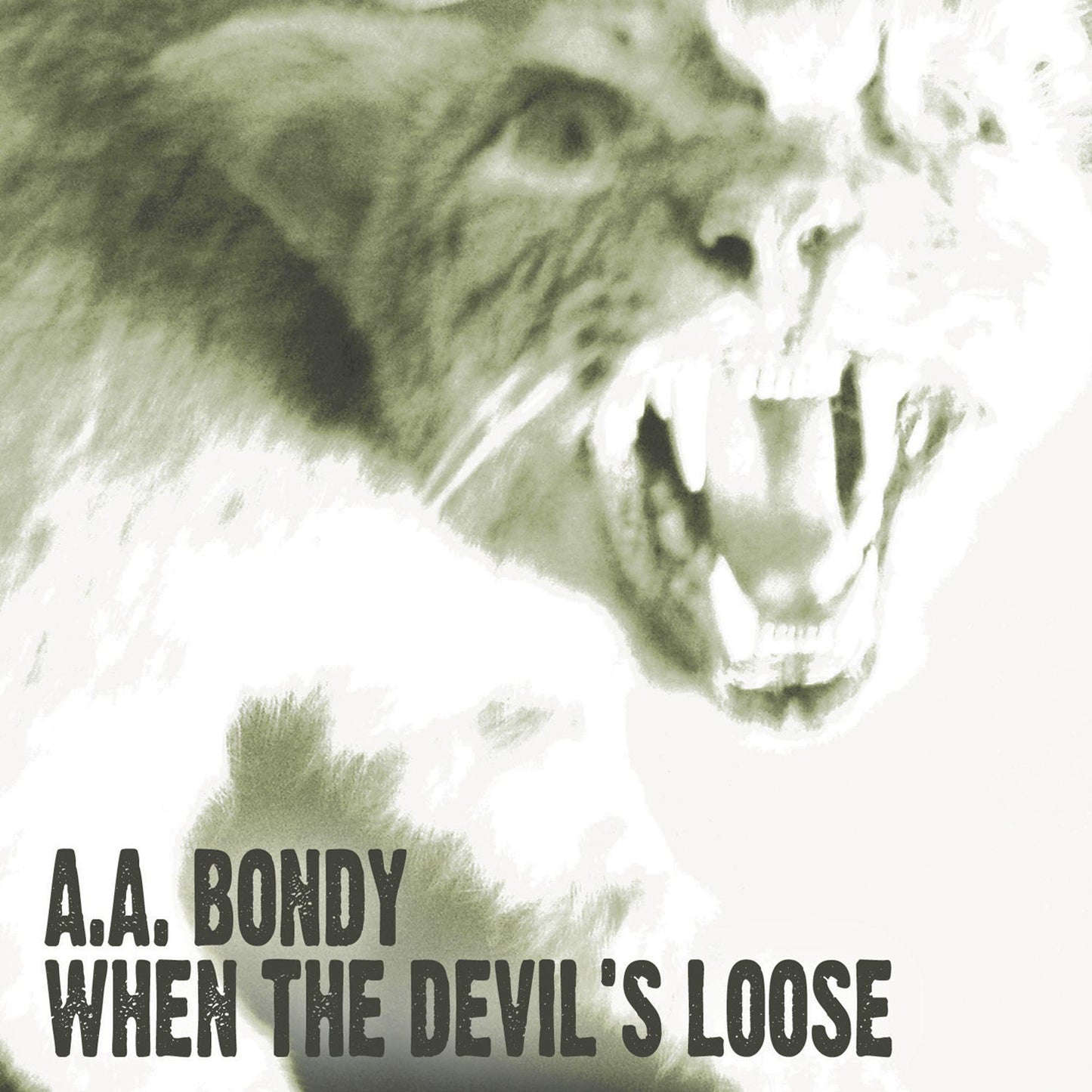 A.a. Bondy - When the Devil's Loose - Cd