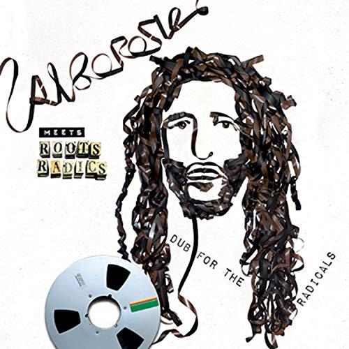 Alborosie Meets Roots Radics - Alborosie Meets Roots Radics - Dub For the Radicals - Lp