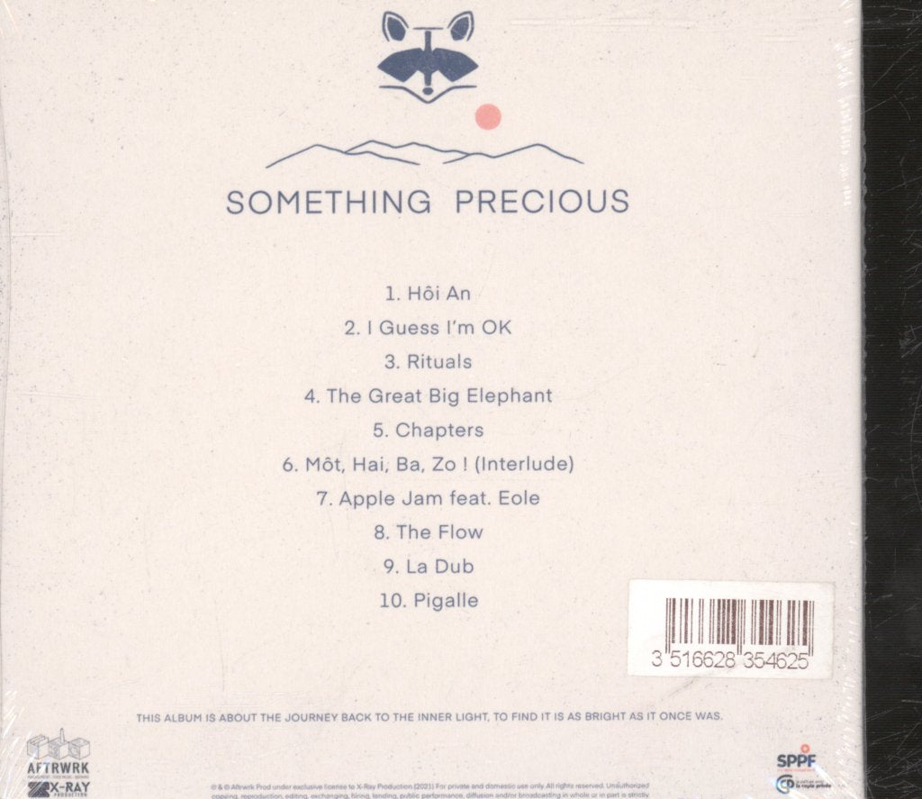 Rakoon - Something Precious - Cd