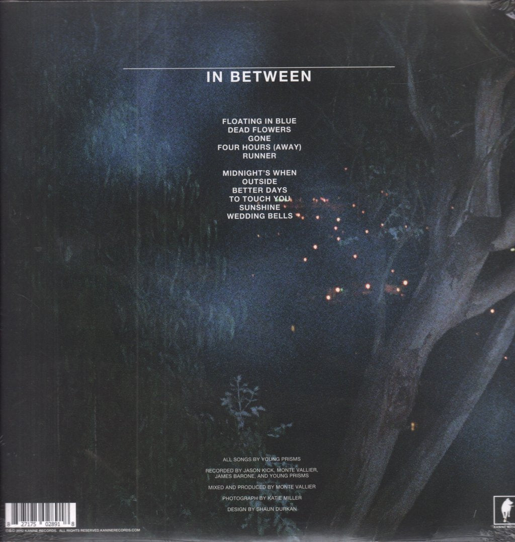 Young Prisms - In Between - Lp