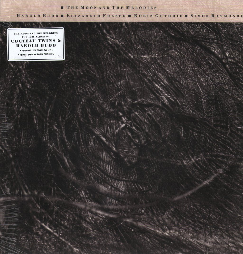 Cocteau Twins and Harold Budd - Moon and the Melodies - Lp