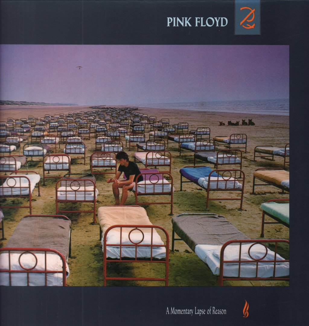 Pink Floyd - A Momentary Lapse Of Reason - Lp