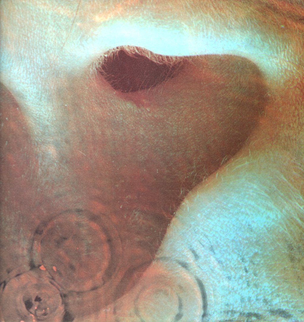 Pink Floyd - Meddle - Lp