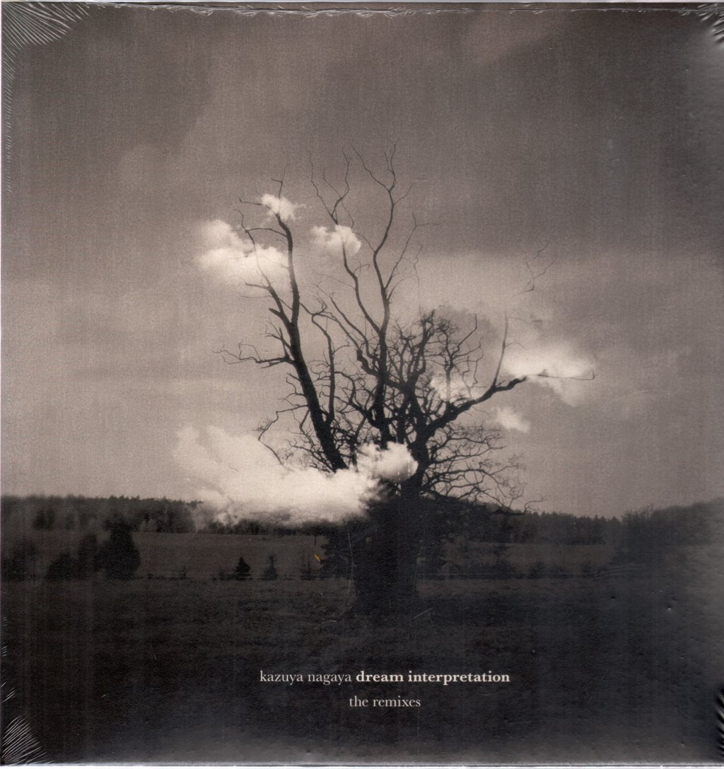 Kazuya Nagaya - Dream Interpretation (The Remixes) - Triple Lp