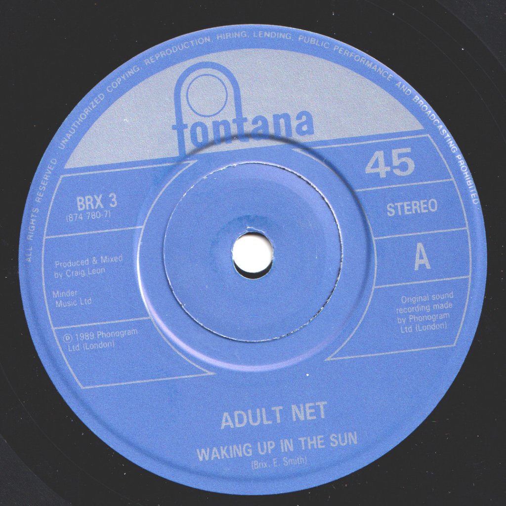 Adult Net - Waking Up In The Sun - 7 Inch