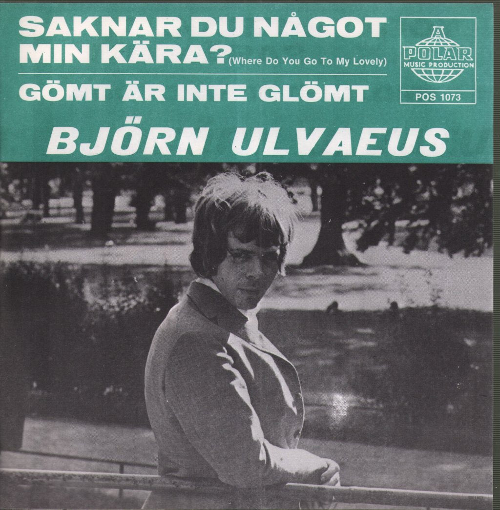 Bjorn Ulvaeus - Saknar Du Något Min Kära? - 7 Inch