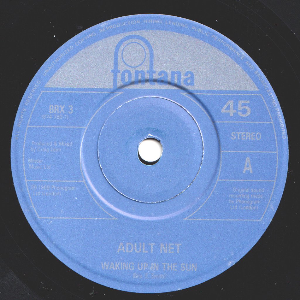 Adult Net - Waking Up In The Sun - 7 Inch