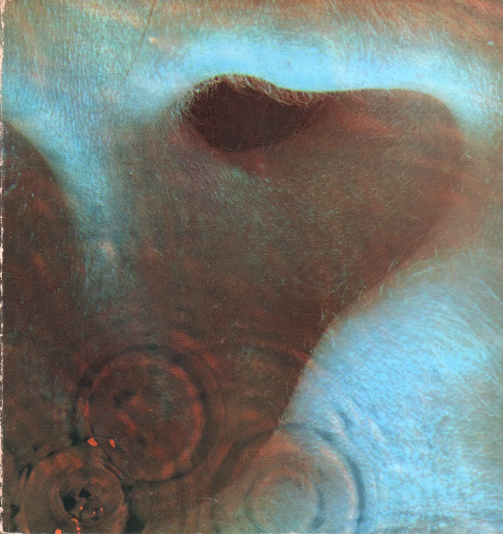 Pink Floyd - Meddle - Lp