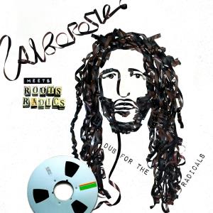 Alborosie - Alborosie Meets Roots Radics - Lp