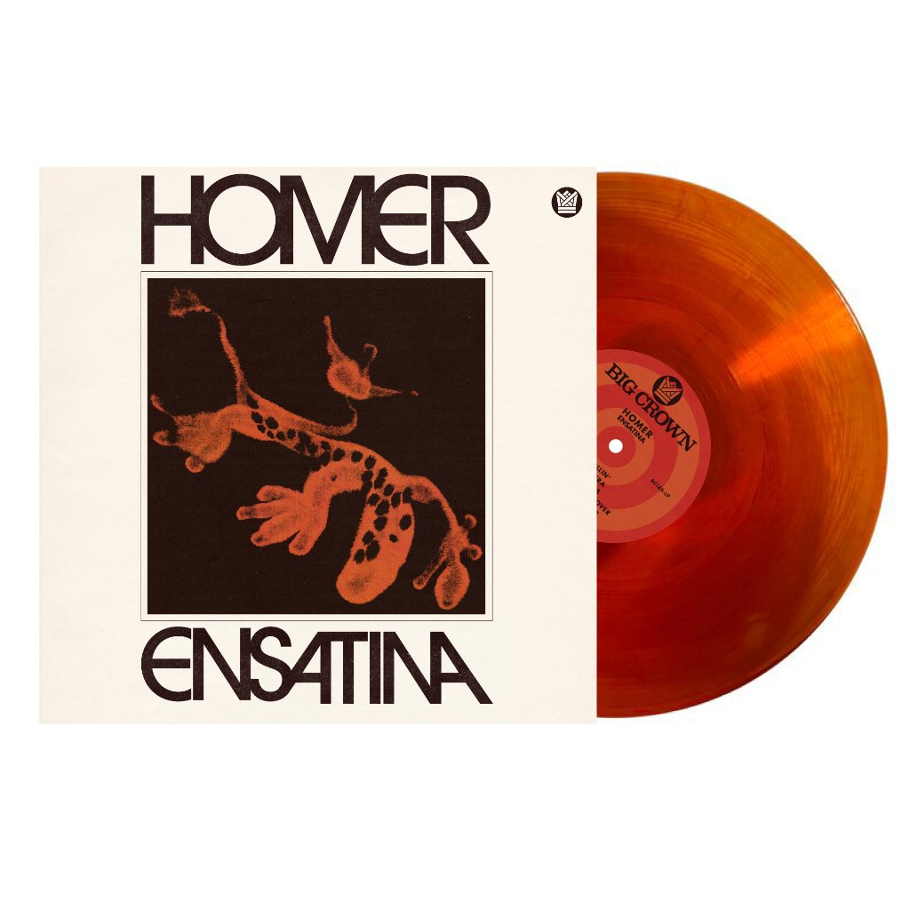 Homer - Ensatina - Lp