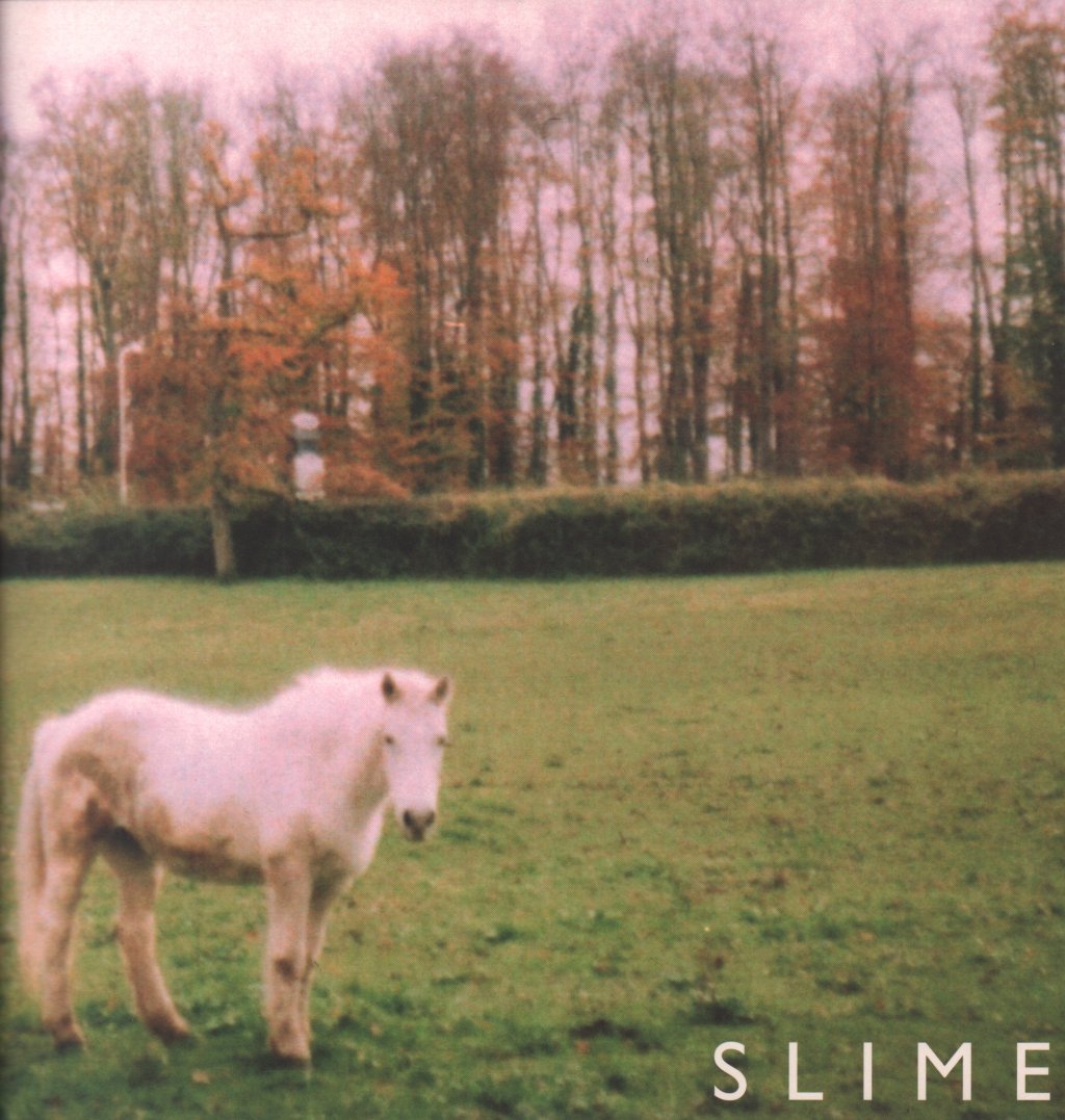 slime (electronic) - Increases - 12 Inch