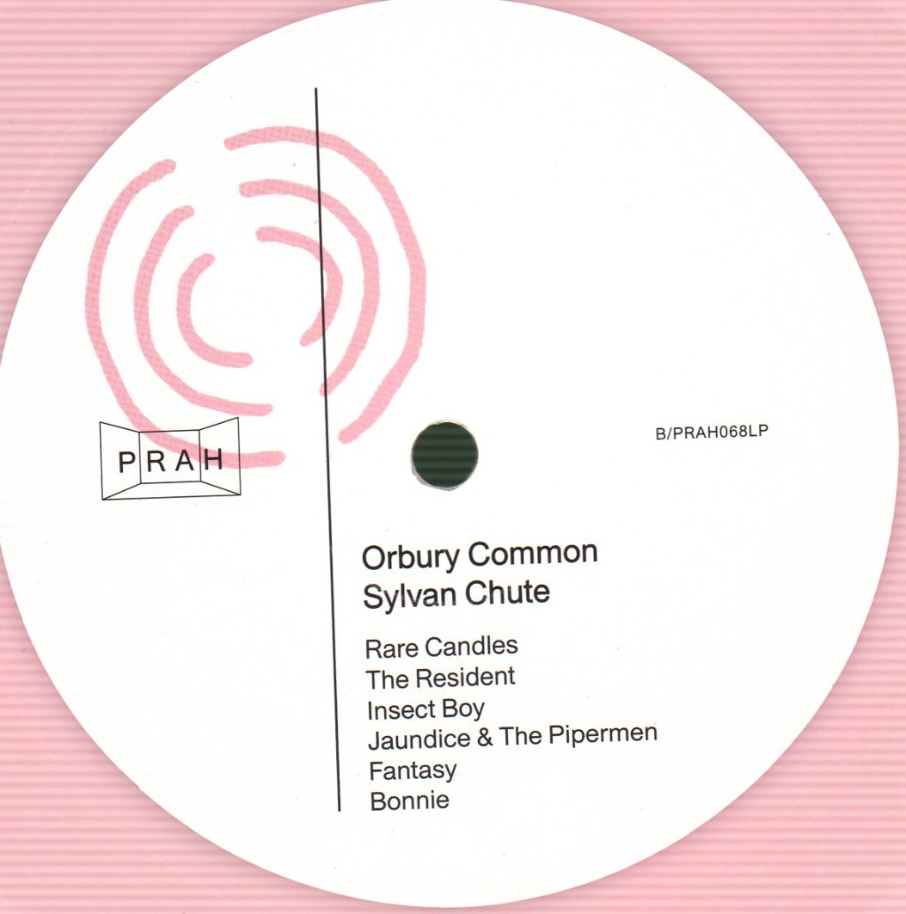 Orbury Common - Sylvan Chute - Lp