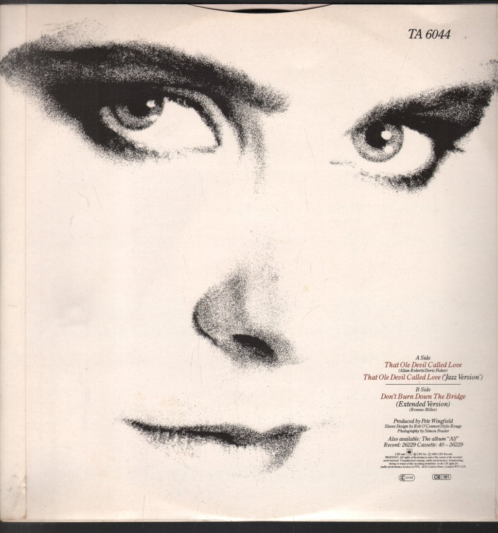 Alison Moyet - That Ole Devil Called Love - 12 Inch