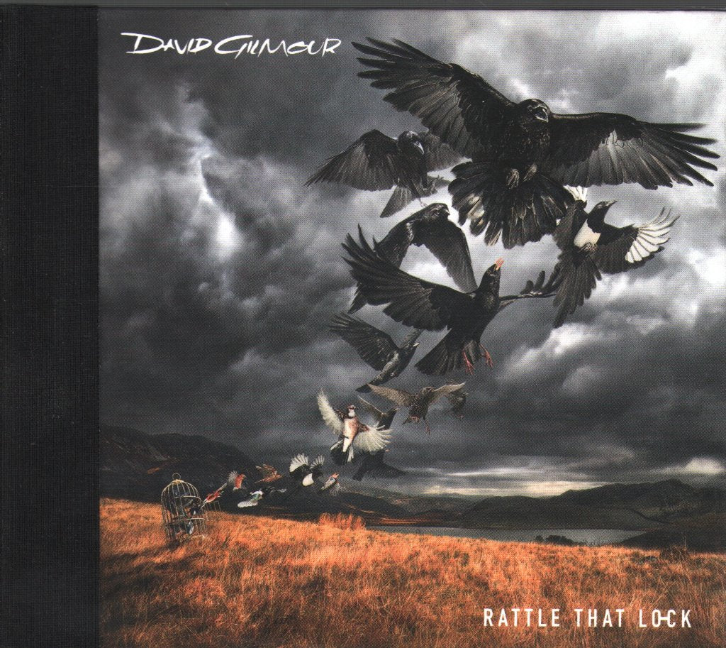 David Gilmour - Rattle That Lock - Cd