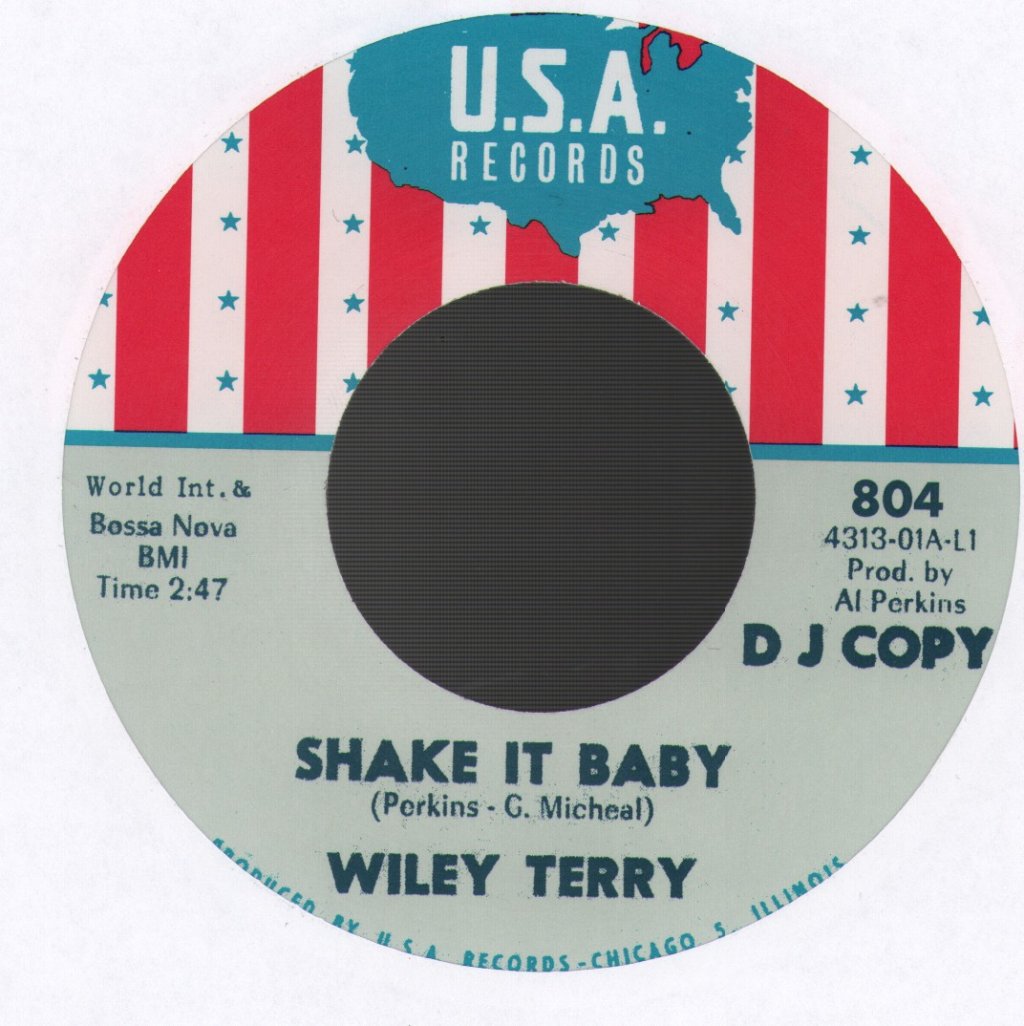 Wiley Terry - Shake It Baby - 7 Inch