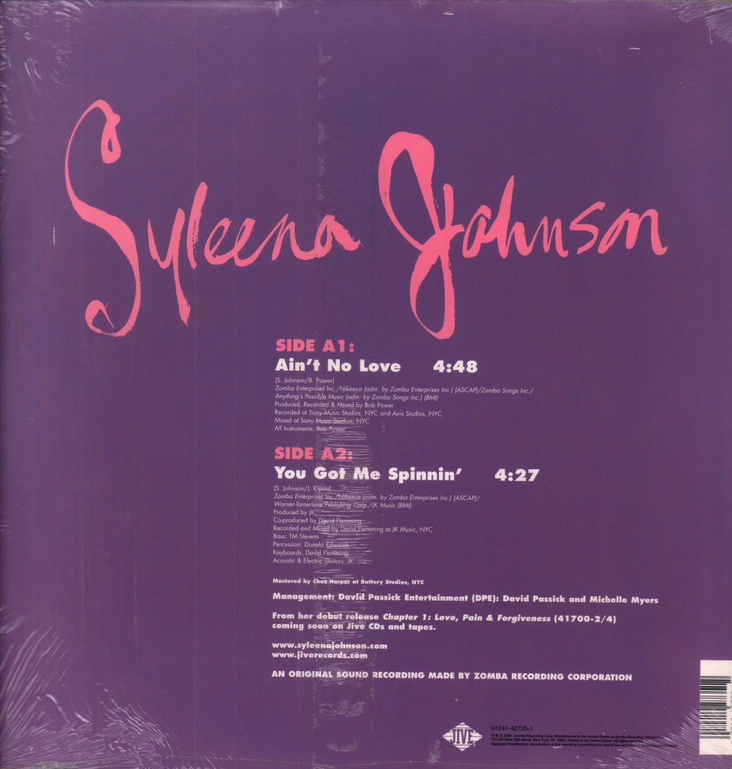 Syleena Johnson - Ain't No Love - 12 Inch