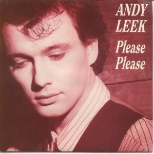 Andy Leek - Please Please - 7 Inch