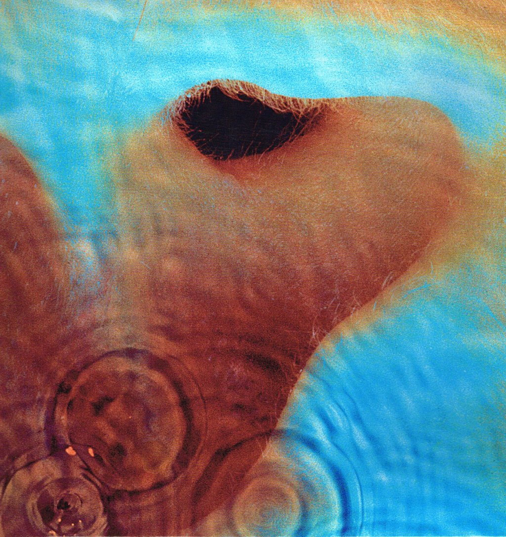 Pink Floyd - Meddle - Lp