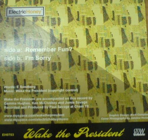 Wake The President - Remember Fun? - 7 Inch