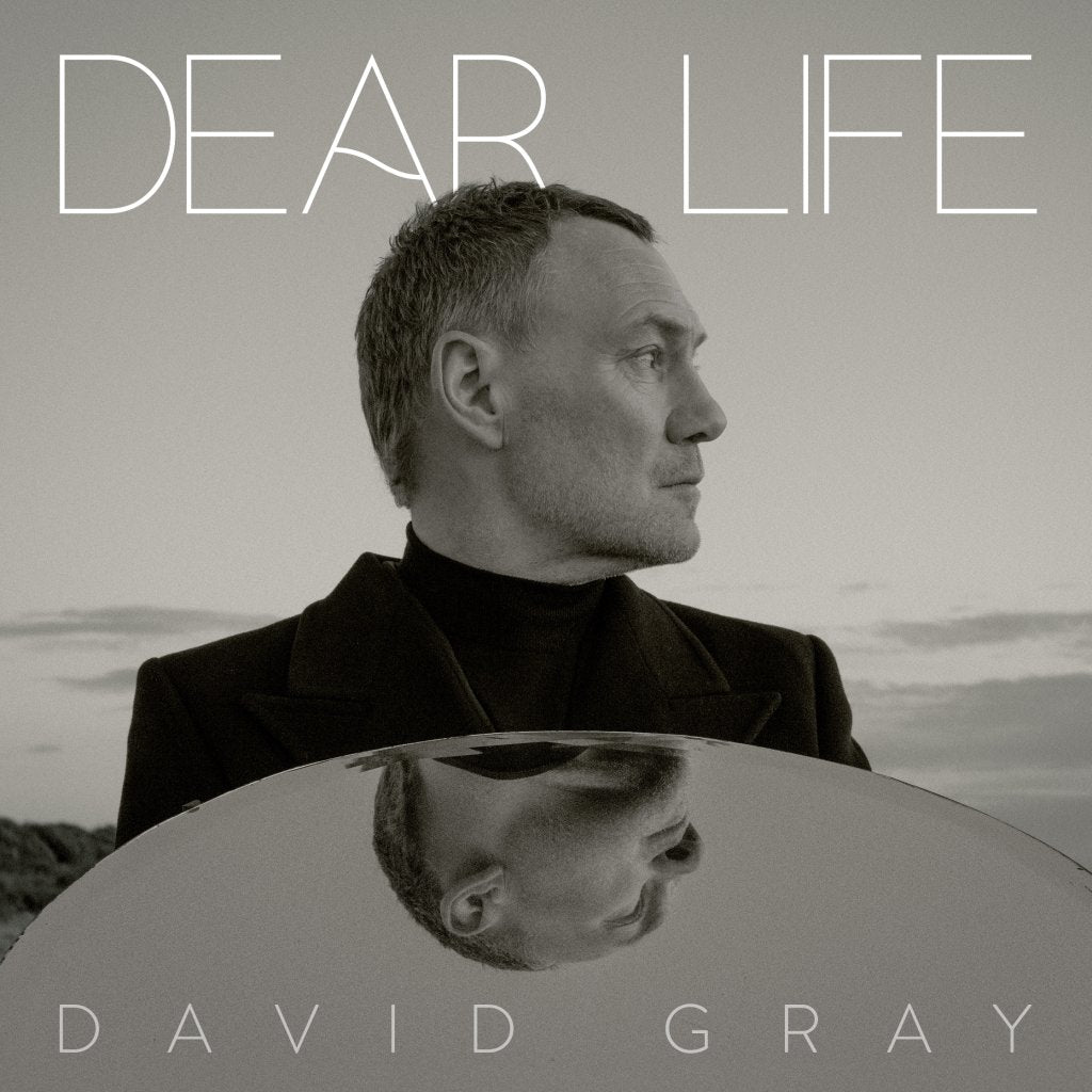 David Gray - Dear Life - Cd