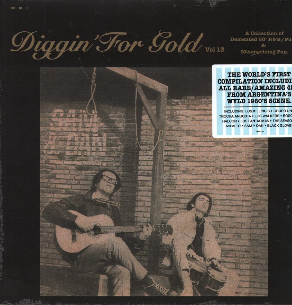 Various Artists - Diggin' For Gold Vol. 13 - Lp