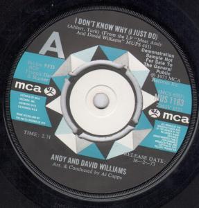 Andy And David Williams - I Don't Know Why - 7 Inch