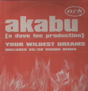 Akabu - Your Wildest Dreams - 12 Inch