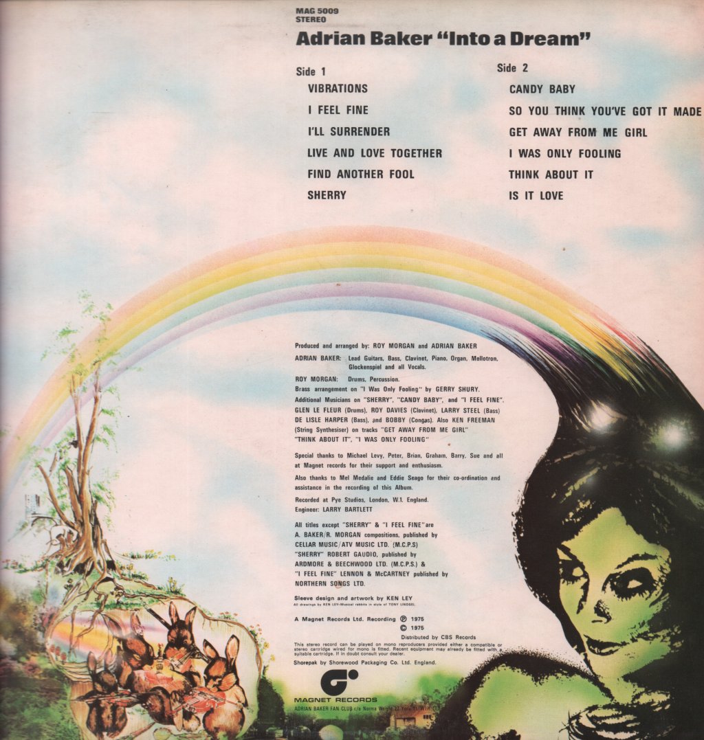 Adrian Baker - Into A Dream - Lp