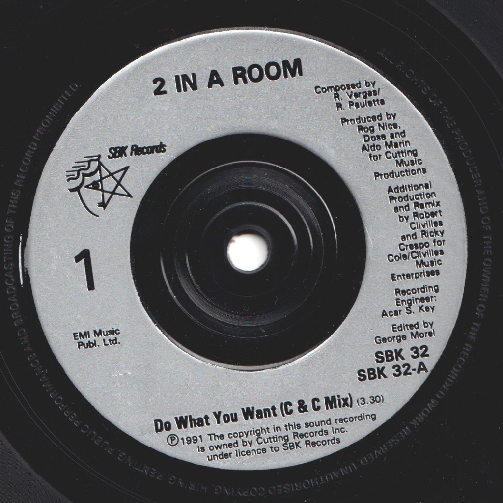 2 In A Room - Do What You Want - 7 Inch