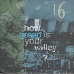 16 Tambourines - How Green Is Your Valley - 7 Inch