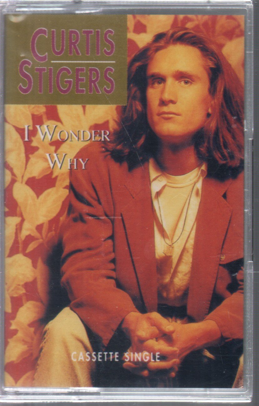 Curtis Stigers - I Wonder Why - Cassette