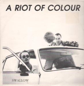 A Riot Of Colour - Swallow - 12 Inch