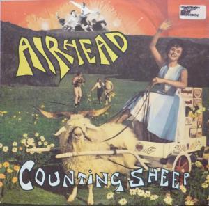 Airhead - Counting Sheep - 12 Inch