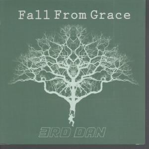 3Rd Dan - Fall From Grace - 7 Inch